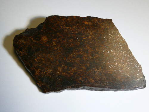 41.6 gram complete slice featuring chondrules and free metal inclusions style=